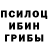 Псилоцибиновые грибы Cubensis Elbek Aburahimov