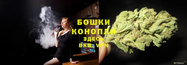 шишки Балабаново
