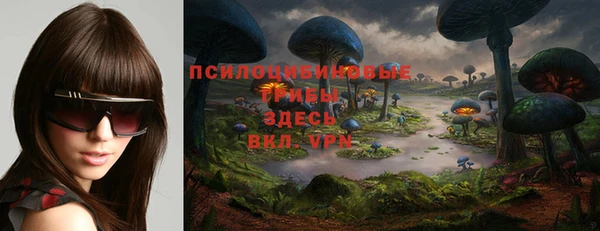 шишки Балабаново